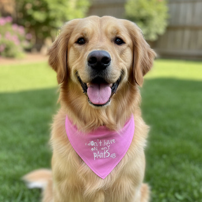 Large Dog Scarf Embroidered with i don't have on any pants