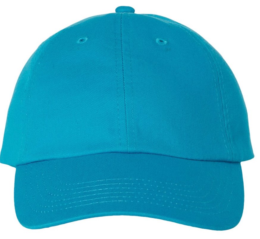 29429 on 6 Panel Classic Dad Hat