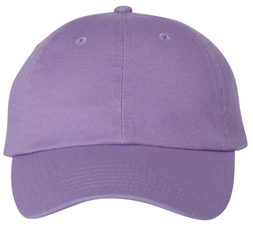 29429 on 6 Panel Classic Dad Hat