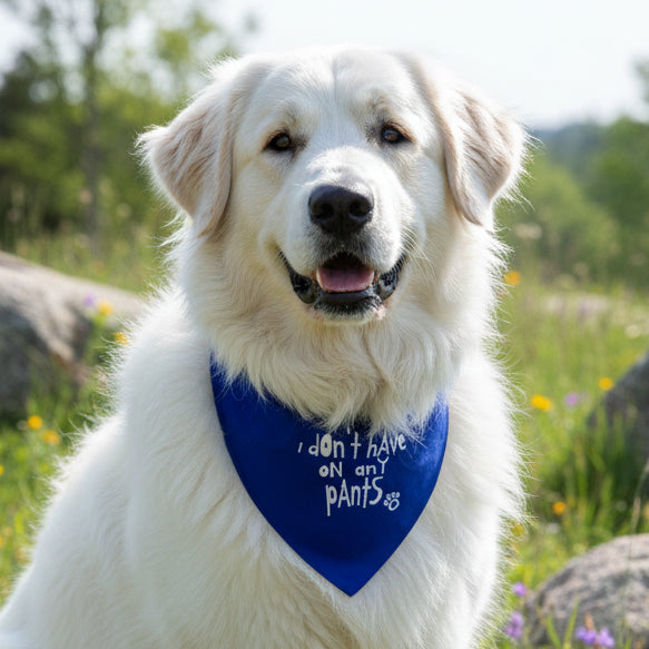 Large Dog Scarf Embroidered with i don't have on any pants